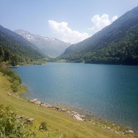 Afrique Appartement De 42M2 A La Montagne Eaux-Bonnes Eksteriør bilde