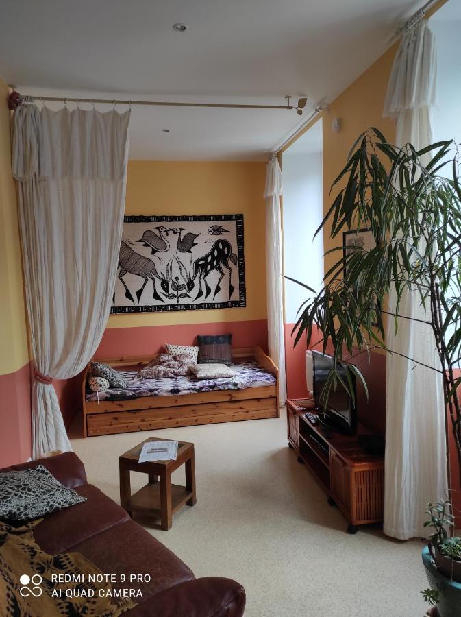 Afrique Appartement De 42M2 A La Montagne Eaux-Bonnes Eksteriør bilde